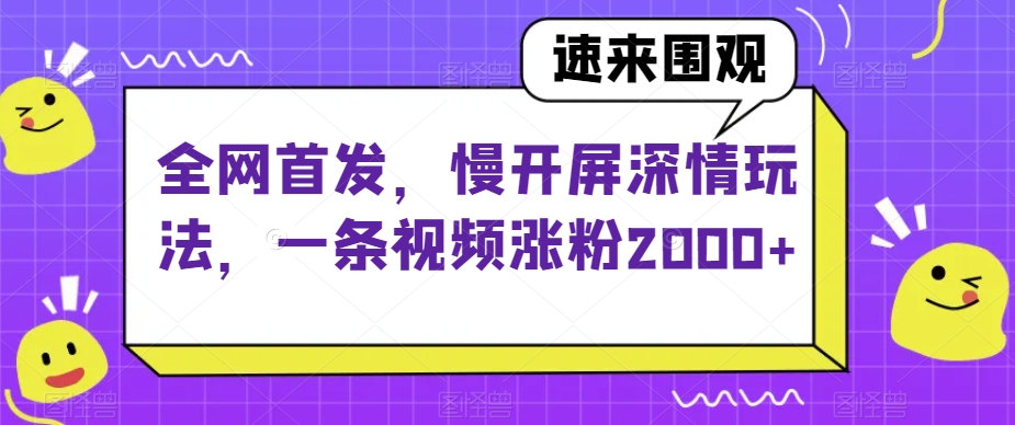 全网首发，慢开屏深情玩法，一条视频涨粉2000+【揭秘】-小伟资源网