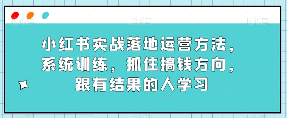 小红书实战落地运营方法，系统训练，抓住搞钱方向，跟有结果的人学习-小伟资源网