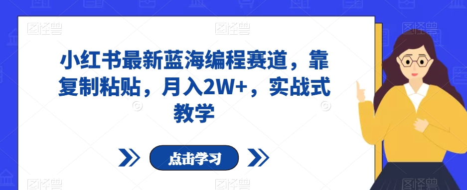 小红书最新蓝海编程赛道，靠复制粘贴，月入2W+，实战式教学【揭秘】-小伟资源网