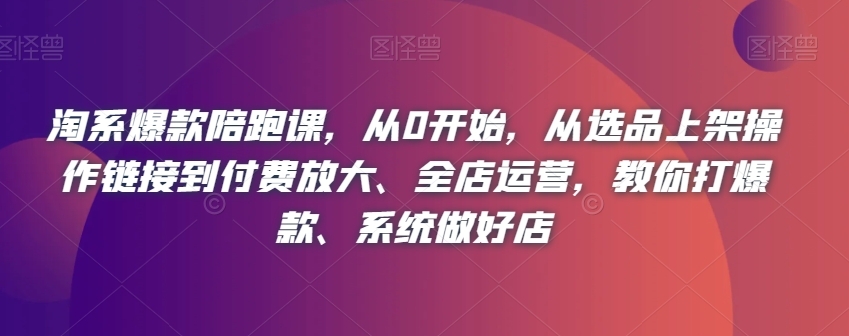 淘系爆款陪跑课，从0开始，从选品上架操作链接到付费放大、全店运营，教你打爆款、系统做好店-小伟资源网