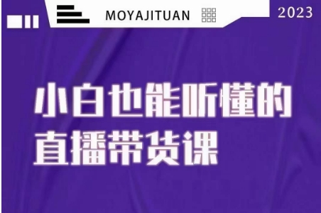 大威本威·能听懂的直播带货课，小白也能听懂，20节完整-小伟资源网