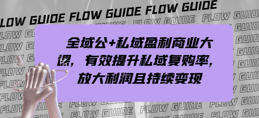 全域公+私域盈利商业大课，有效提升私域复购率，放大利润且持续变现-小伟资源网