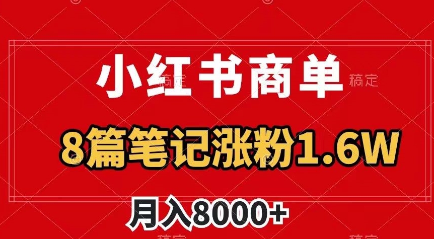 小红书商单最新玩法，8篇笔记涨粉1.6w，作品制作简单，月入8000+【揭秘】-小伟资源网