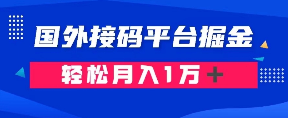 通过国外接码平台掘金：成本1.3，利润10＋，轻松月入1万＋【揭秘】-小伟资源网