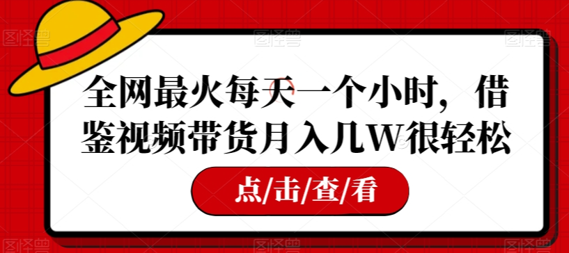 全网最火每天一个小时，借鉴视频带货月入几W很轻松【揭秘】-小伟资源网