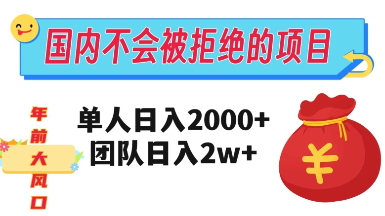 在国内不怕被拒绝的项目，单人日入2000，团队日入20000+【揭秘】-小伟资源网