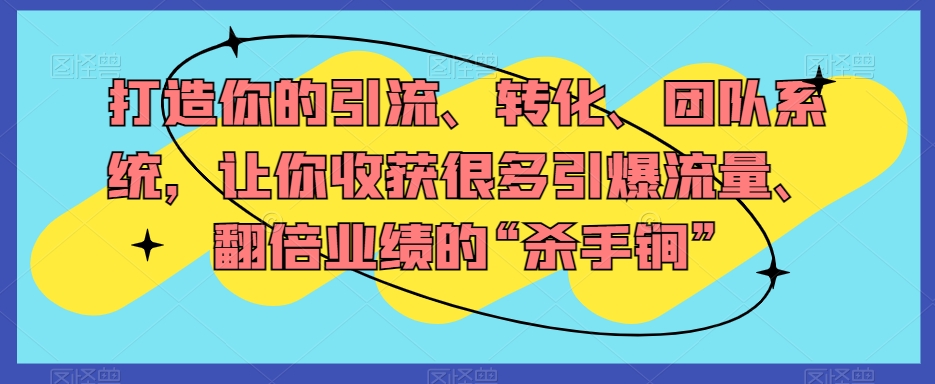 打造你的引流、转化、团队系统，让你收获很多引爆流量、翻倍业绩的“杀手锏”-小伟资源网