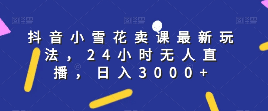 抖音小雪花卖课最新玩法，24小时无人直播，日入3000+【揭秘】-小伟资源网