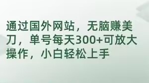 通过国外网站，无脑赚美刀，单号每天300+可放大操作，小白轻松上手【揭秘】-小伟资源网