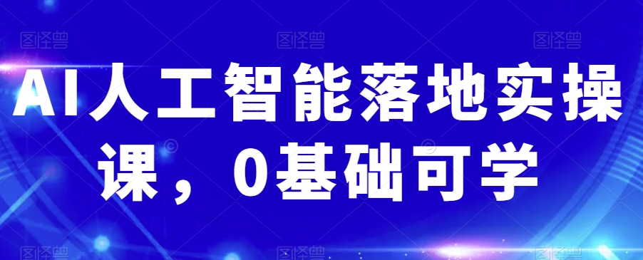 AI人工智能落地实操课，0基础可学-小伟资源网