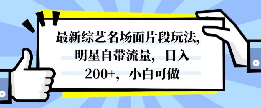 最新综艺名场面片段玩法，明星自带流量，日入200+，小白可做【揭秘】-小伟资源网