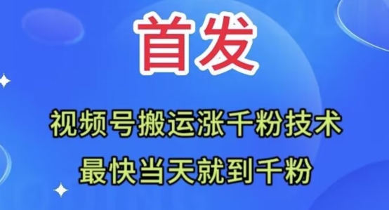 全网首发：视频号无脑搬运涨千粉技术，最快当天到千粉【揭秘】-小伟资源网