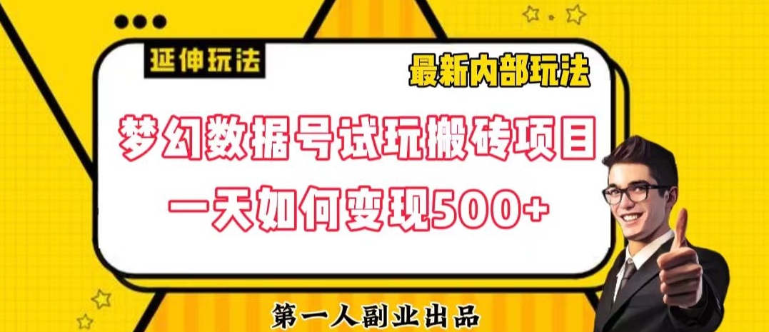 数据号回归玩法游戏试玩搬砖项目再创日入500+【揭秘】-小伟资源网