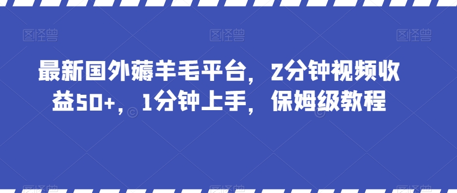 最新国外薅羊毛平台，2分钟视频收益50+，1分钟上手，保姆级教程【揭秘】-小伟资源网