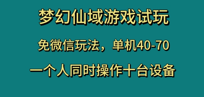 梦幻仙域游戏试玩，免微信玩法，单机40-70，一个人同时操作十台设备【揭秘】-小伟资源网