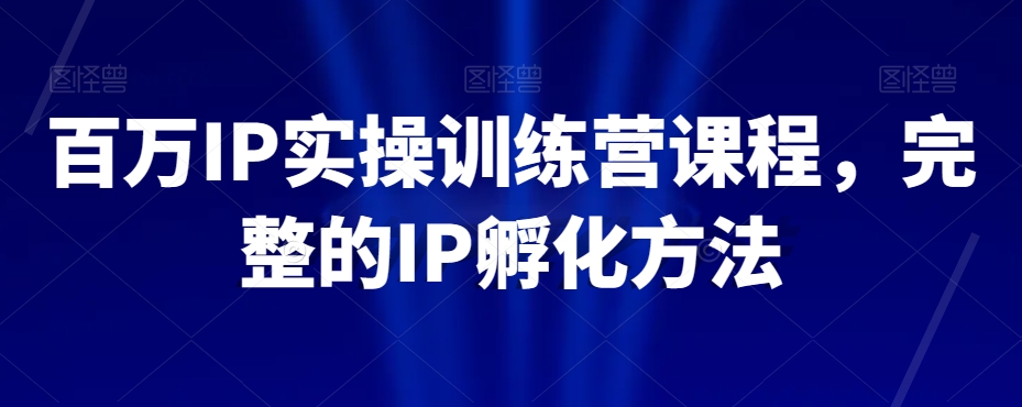 百万IP实操训练营课程，完整的IP孵化方法-小伟资源网