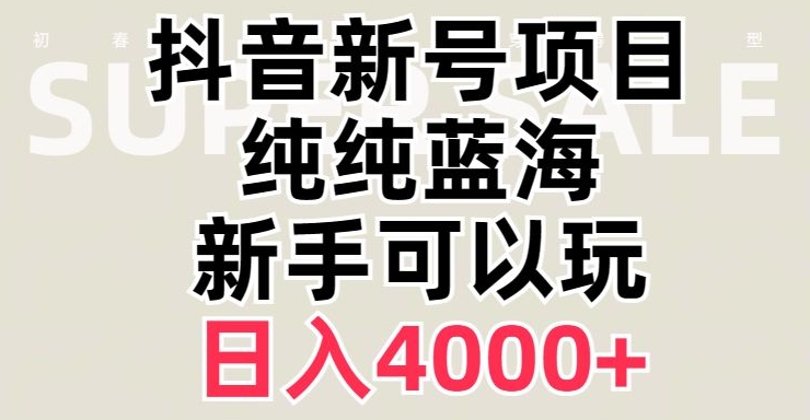 抖音蓝海赛道，必须是新账号，日入4000+【揭秘】-小伟资源网