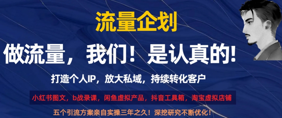 流量企划，打造个人IP，放大私域，持续转化客户【揭秘】-小伟资源网