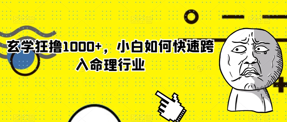 玄学狂撸1000+，小白如何快速跨入命理行业【揭秘】-小伟资源网