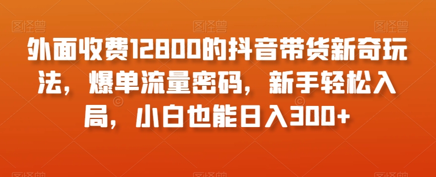 外面收费12800的抖音带货新奇玩法，爆单流量密码，新手轻松入局，小白也能日入300+【揭秘】-小伟资源网