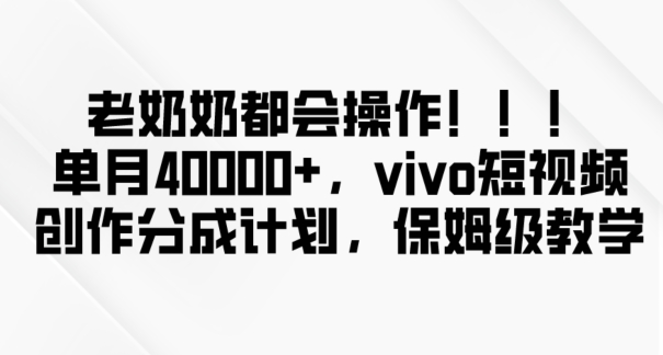 老奶奶都会操作，新平台无脑操作，单月40000+，vivo短视频创作分成计划【揭秘】-小伟资源网