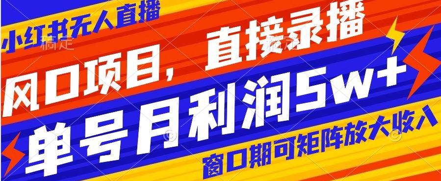 风口项目，小红书无人直播带货，直接录播，可矩阵，月入5w+【揭秘】-小伟资源网