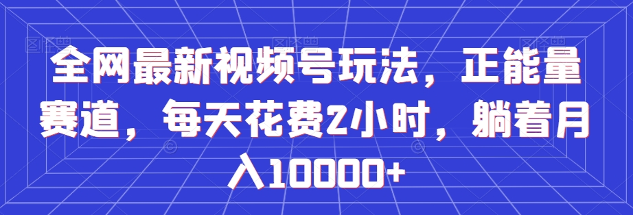 全网最新视频号玩法，正能量赛道，每天花费2小时，躺着月入10000+【揭秘】-小伟资源网