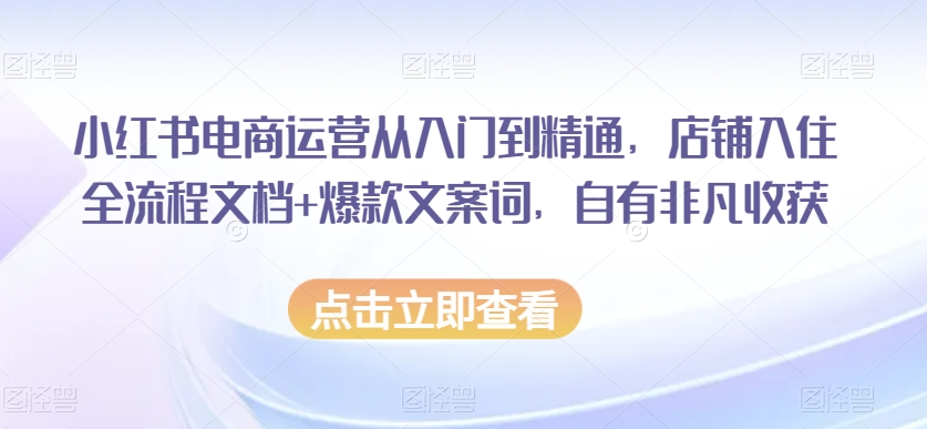 小红书电商运营从入门到精通，店铺入住全流程文档+爆款文案词，自有非凡收获-小伟资源网