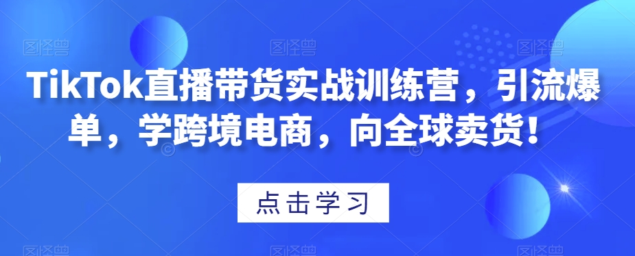 TikTok直播带货实战训练营，引流爆单，学跨境电商，向全球卖货！-小伟资源网