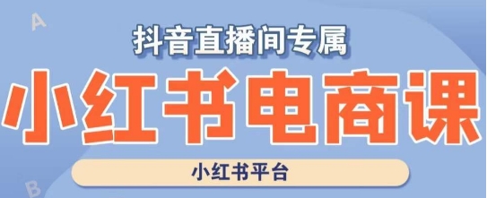 小红书电商高级运营课程，实操教学+案例分析-小伟资源网