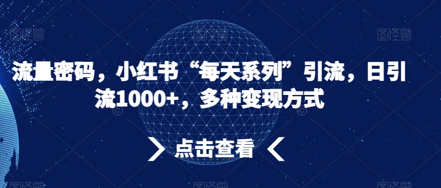 流量密码，小红书“每天系列”引流，日引流1000+，多种变现方式【揭秘】-小伟资源网