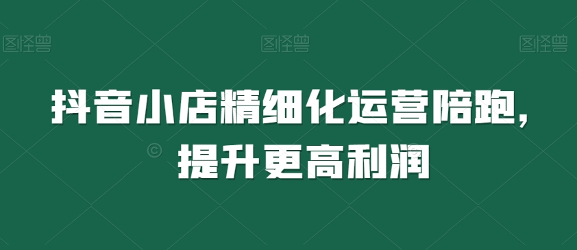 抖音小店精细化运营陪跑，提升更高利润-小伟资源网