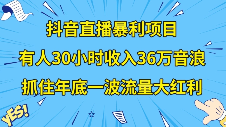 抖音直播暴利项目，有人30小时收入36万音浪，公司宣传片年会视频制作，抓住年底一波流量大红利【揭秘】-小伟资源网