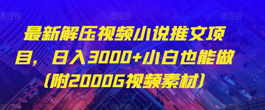 最新解压视频小说推文项目，日入3000+小白也能做（附2000G视频素材）【揭秘】-小伟资源网