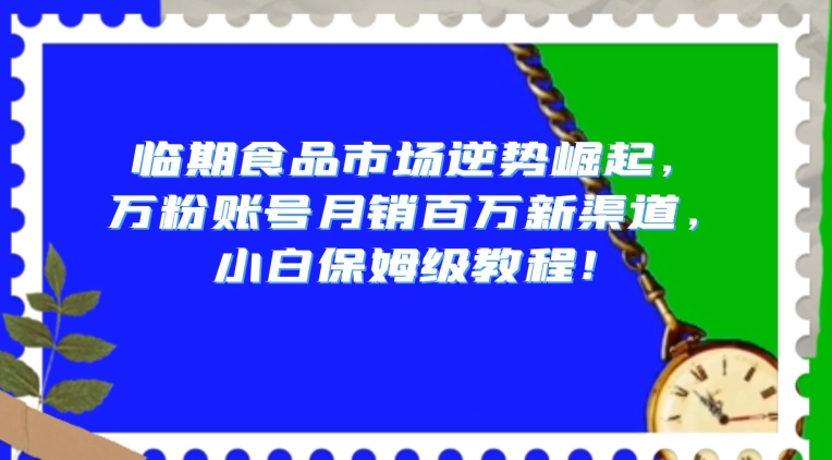 临期食品市场逆势崛起，万粉账号月销百万新渠道，小白保姆级教程【揭秘】-小伟资源网