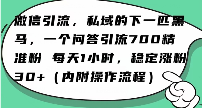 怎么搞精准创业粉？微信新赛道，每天一小时，利用Ai一个问答日引100精准粉-小伟资源网