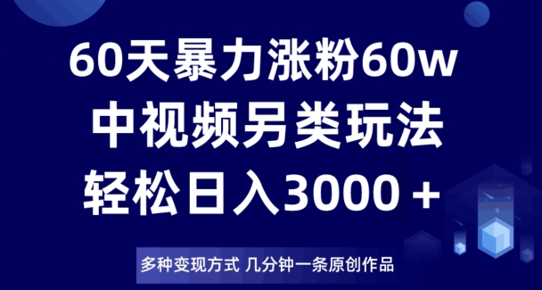 60天暴力涨粉60W，中视频另类玩法，日入3000＋，几分钟一条原创作品多种变现方式-小伟资源网