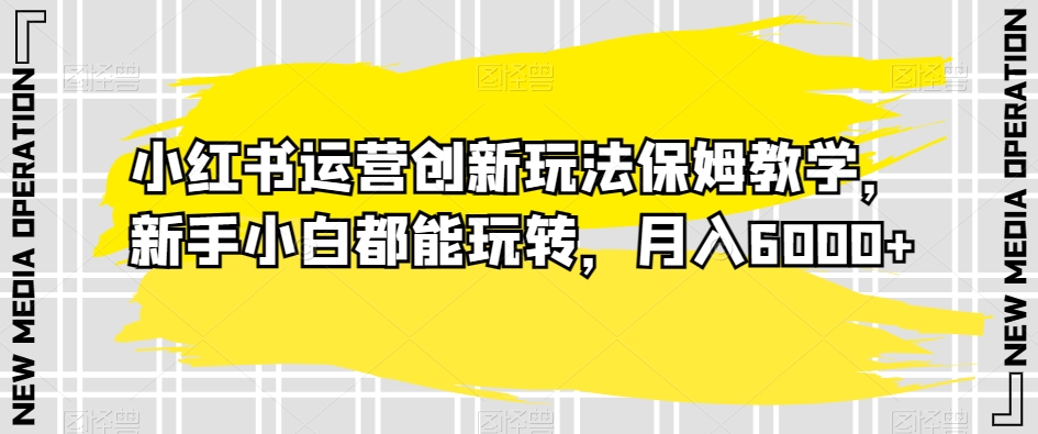 小红书运营创新玩法保姆教学，新手小白都能玩转，月入6000+【揭秘】-小伟资源网