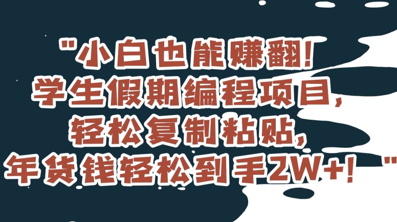 小白也能赚翻！学生假期编程项目，轻松复制粘贴，年货钱轻松到手2W+【揭秘】-小伟资源网