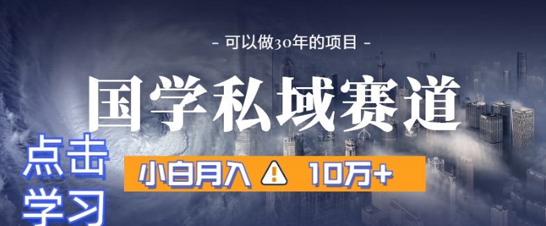 暴力国学私域赛道，小白月入10万+，引流+转化完整流程【揭秘】-小伟资源网