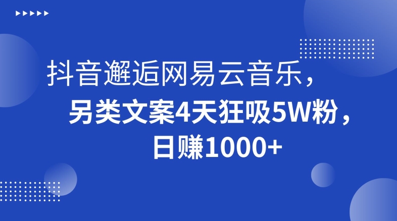 抖音邂逅网易云音乐，另类文案4天狂吸5W粉，日赚1000+【揭秘】-小伟资源网