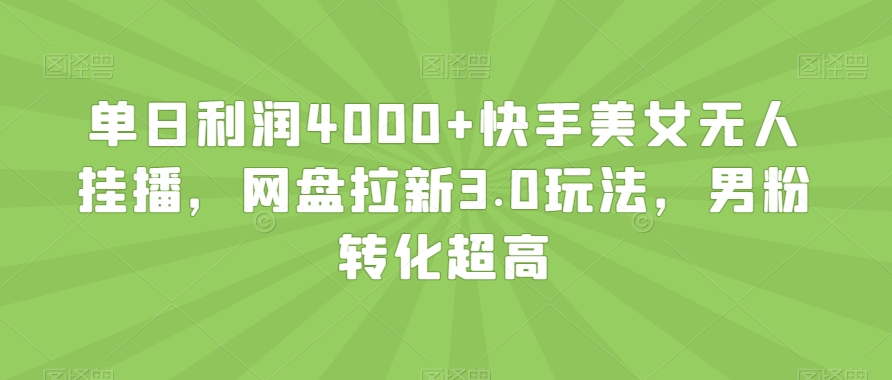 单日利润4000+快手美女无人挂播，网盘拉新3.0玩法，男粉转化超高【揭秘】-小伟资源网