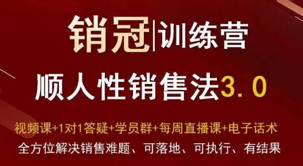 爆款！销冠训练营3.0之顺人性销售法，全方位解决销售难题、可落地、可执行、有结果-小伟资源网