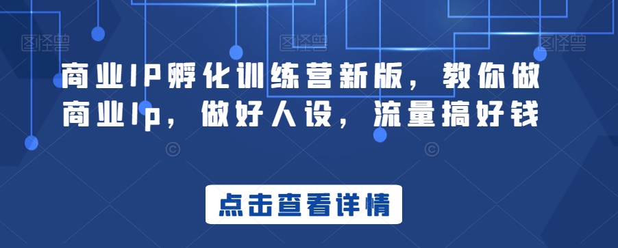 商业IP孵化训练营新版，教你做商业Ip，做好人设，流量搞好钱-小伟资源网