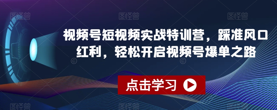 视频号短视频实战特训营，踩准风口红利，轻松开启视频号爆单之路-小伟资源网