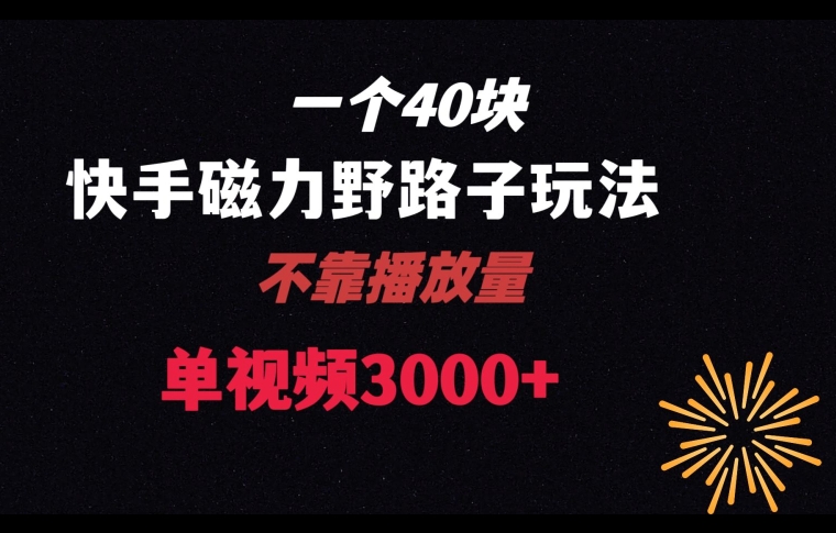 一个40块，快手联合美团磁力新玩法，无视机制野路子玩法，单视频收益4位数【揭秘】-小伟资源网