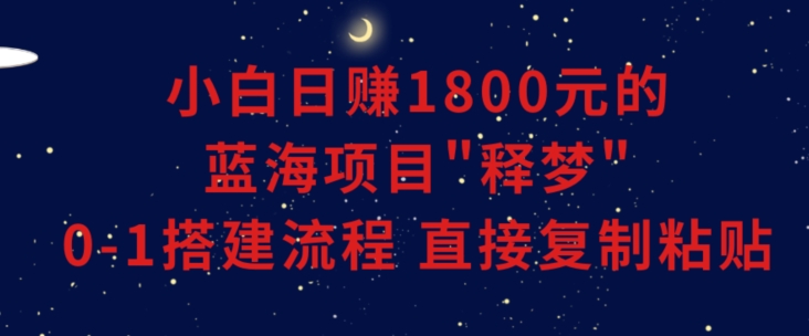 小白能日赚1800元的蓝海项目”释梦”0-1搭建流程可直接复制粘贴长期做【揭秘】-小伟资源网