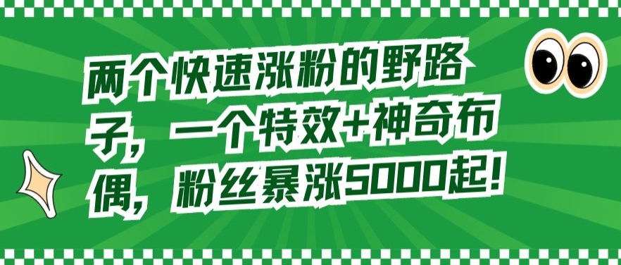 两个快速涨粉的野路子，一个特效+神奇布偶，粉丝暴涨5000起【揭秘】-小伟资源网