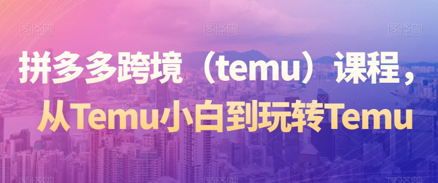 拼多多跨境（temu）课程，从Temu小白到玩转Temu-小伟资源网