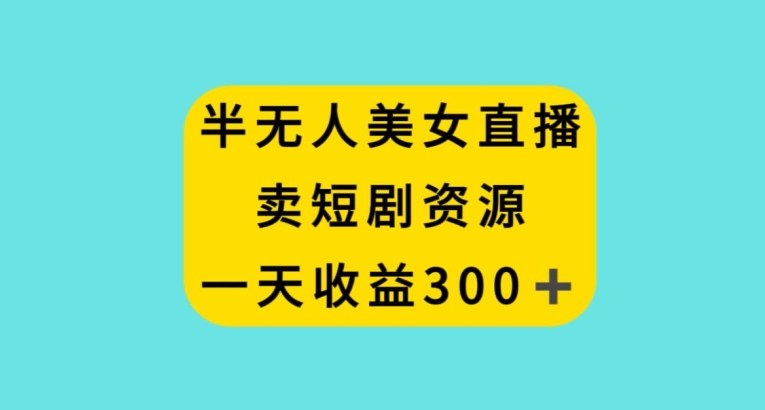 半无人美女直播，卖短剧资源，一天收益300+【揭秘】-小伟资源网